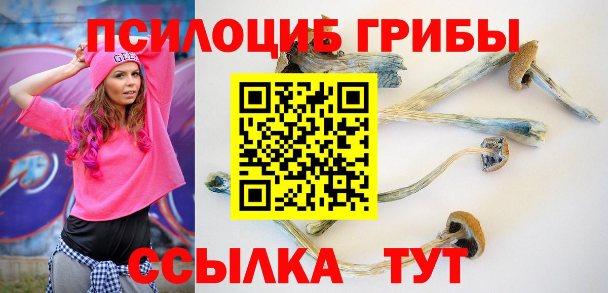 Амурск  Галлюциногенные грибы Cubensis  Вход с VPN 